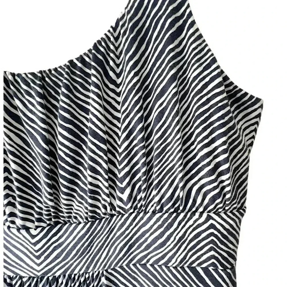 ANN TAYLOR NWOT SLEEVELESS ZEBRA PRINT DRESS | SIZE: LARGE - Picture 3 of 9